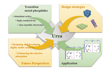 Highly active transition metal phosphides for urea oxidation: Design strategies, application advances, and perspectives 2025.100651